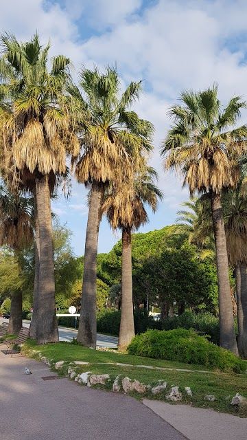 Casinò Palm Beach Cannes
