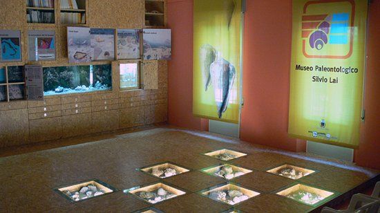 il Museo Paleontologico Silvio Lai