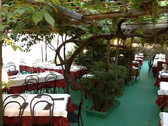 Ristorante Pizzeria El Condor