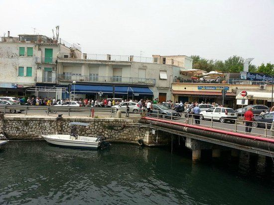 Centro Ittico Cooperativa dei Pescatori di Terracina