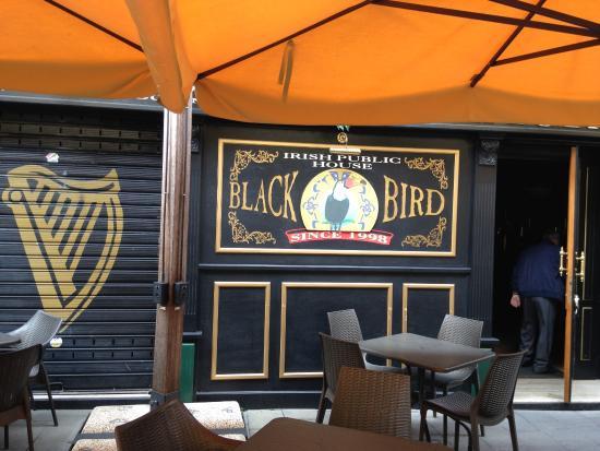 Pub Black Bird