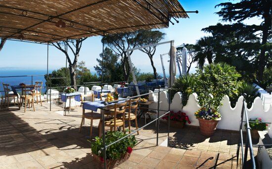 Cafè Casa Oliv